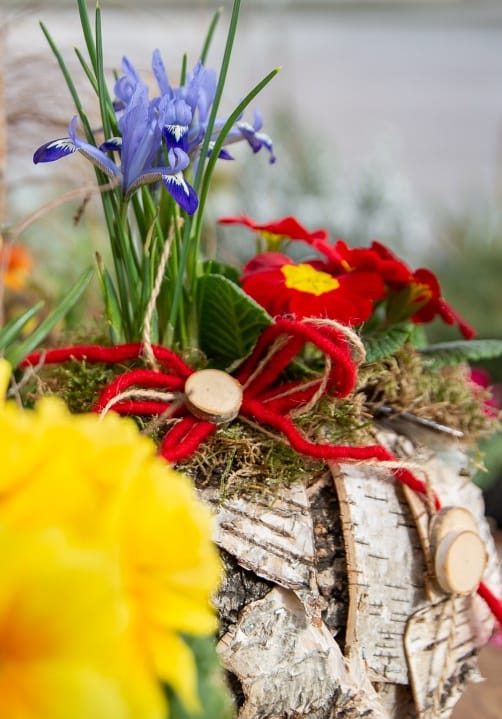 Blumen und Pflanzen aus der Gärtnerei Ziegengeist