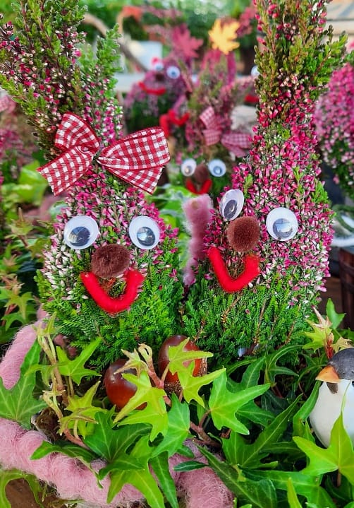 Blumen und Pflanzen aus der Gärtnerei Ziegengeist