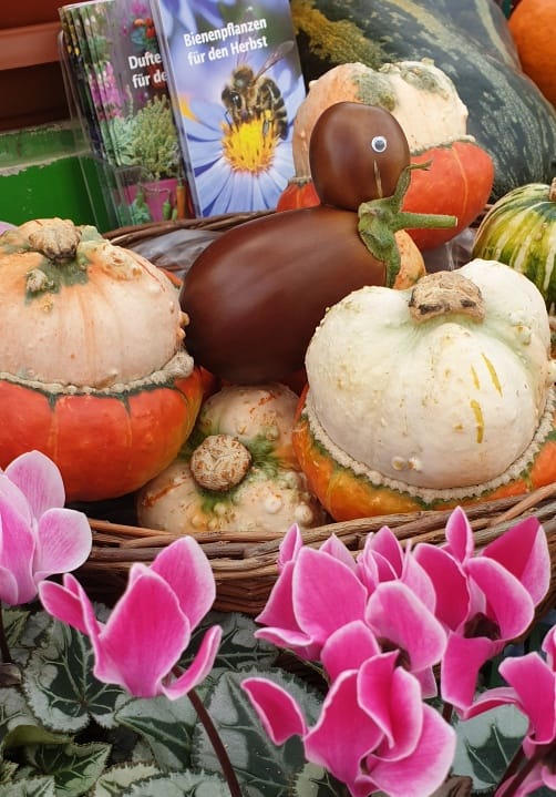 Blumen und Pflanzen aus der Gärtnerei Ziegengeist