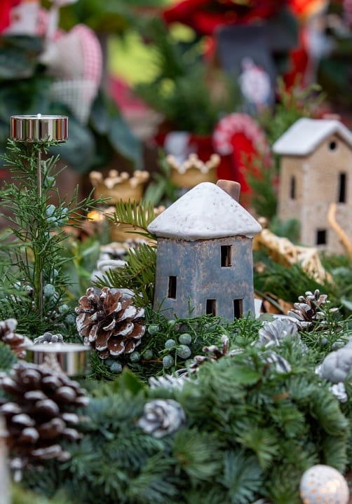 Blumen und Pflanzen aus der Gärtnerei Ziegengeist