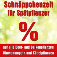 Termininformationen